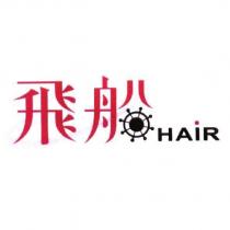飛船 HAIR 設計圖