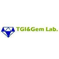 TGI&Gem Lab.及圖