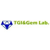 TGI&Gem Lab.及圖
