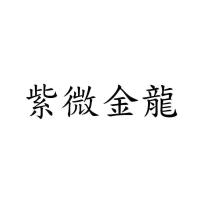 紫微金龍