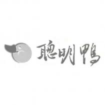 聰明鴨及圖