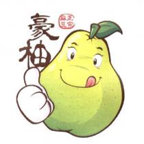 正宗麻豆豪柚及圖