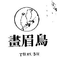 畫眉鳥及圖 THRUSH