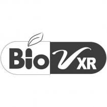 Bio VXR 及圖