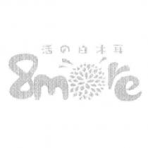 活の白木耳 8more 設計圖