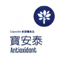 寶安泰 Antioxidant Capsules 軟膠囊食品及圖