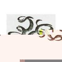 彩帶圖