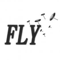 FLY 和圖形
