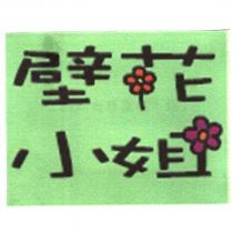 壁花小姐及圖