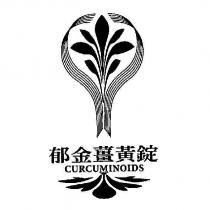 郁金薑黃錠 CURCUMINOIDS 及圖