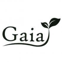 GAIA 及圖
