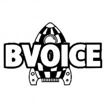 BVOICE 及圖