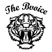 The Bvoice 及圖