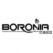 BORONIA 巴洛尼亞及圖