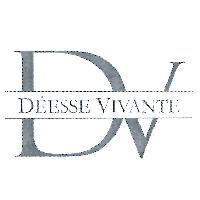 DV 設計圖