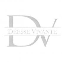 DV 設計圖
