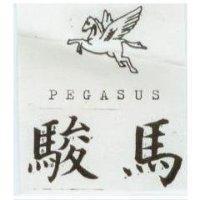 駿馬 PEGASUS 及圖