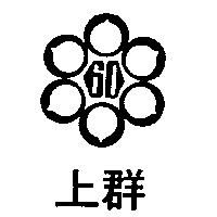 上群及圖