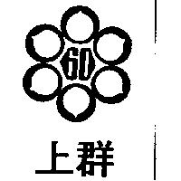 上群及圖