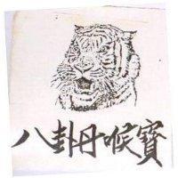 八寶丹喉寶