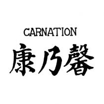 康乃馨 CARNATION