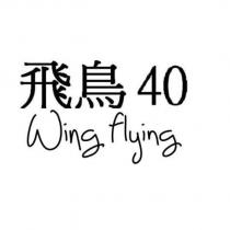 飛鳥 40WING FLYING