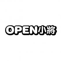 OPEN 小將設計體