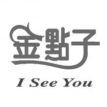 金點子 I See You