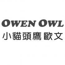 OWEN OWL 小貓頭鷹歐文