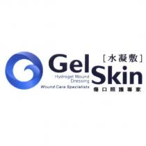 水凝敷傷口照護專家 Gel Skin, Hydrogel Wound Dressing, Wound Care Specialists 及圖