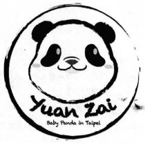 Yuan Zai Baby Panda in Taipei 圓仔貓熊圖