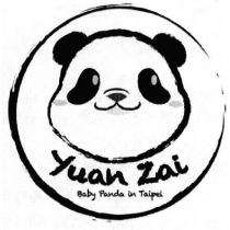 Yuan Zai Baby Panda in Taipei 圓仔貓熊圖