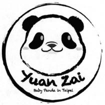 Yuan Zai Baby Panda in Taipei 圓仔貓熊圖