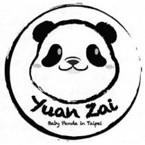 Yuan Zai Baby Panda in Taipei 圓仔貓熊圖