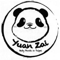 Yuan Zai Baby Panda in Taipei 圓仔貓熊圖