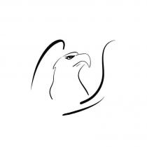 鷹設計圖