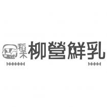 稻禾柳營鮮乳及圖