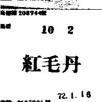 紅毛丹