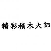 精彩積木大師