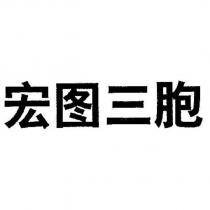 宏圖三胞