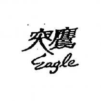 突鷹 Eagle