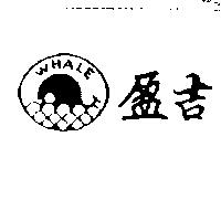 盈吉及圖 WHALE