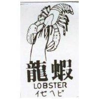 龍蝦及圖