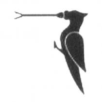 鳥圖