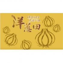 洋蔥田 onion farm 及圖