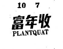 富年 (藍色)