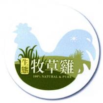 生態 牧草雞 100% NATURAL & PURE 及圖一