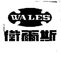 衛爾斯及圖 WALES