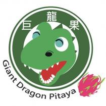 巨龍果 Giant Dragon Pitaya 及圖