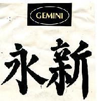 永新及圖 GEMINI 